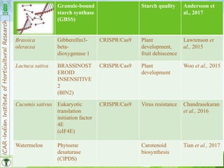 ICAR-IndianInstituteofHorticulturalResearch
11
Granule-bound
starch synthase
(GBSS)
Starch quality Andersson et
al., 2017
Brassica
oleracea
Gibberellin3-
beta-
dioxygenase 1
CRISPR/Cas9 Plant
development,
fruit dehiscence
Lawrenson et
al., 2015
Lactuca sativa BRASSINOST
EROID
INSENSITIVE
2
(BIN2)
CRISPR/Cas9 Plant
development
Woo et al., 2015
Cucumis sativus Eukaryotic
translation
initiation factor
4E
(eIF4E)
CRISPR/Cas9 Virus resistance Chandrasekaran
et al., 2016
Watermelon Phytoene
desaturase
(ClPDS)
Carotenoid
biosynthesis
Tian et al., 2017
 
