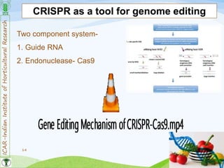 ICAR-IndianInstituteofHorticulturalResearch
14
CRISPR as a tool for genome editing
Two component system-
1. Guide RNA
2. Endonuclease- Cas9
 