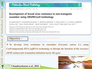 ICAR-IndianInstituteofHorticulturalResearch
17
Objective :
 To develop virus resistance in cucumber (Cucumis sativus L.) using
Cas9/subgenomic RNA (sgRNA) technology to disrupt the function of the recessive
eIF4E (eukaryotic translation initiation factor 4E) gene
Chandrasekaran et al., 2016
 