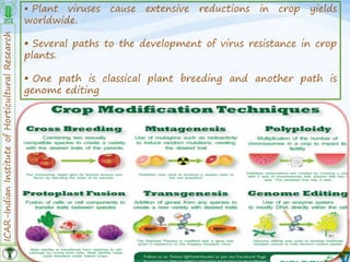ICAR-IndianInstituteofHorticulturalResearch
18
 Plant viruses cause extensive reductions in crop yields
worldwide.
 Several paths to the development of virus resistance in crop
plants.
 One path is classical plant breeding and another path is
genome editing
 