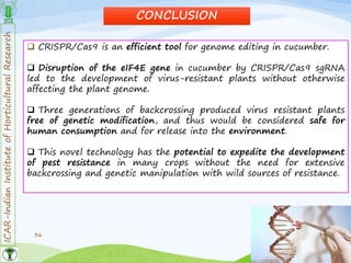 ICAR-IndianInstituteofHorticulturalResearch
36
CONCLUSION
 CRISPR/Cas9 is an efficient tool for genome editing in cucumber.
 Disruption of the eIF4E gene in cucumber by CRISPR/Cas9 sgRNA
led to the development of virus-resistant plants without otherwise
affecting the plant genome.
 Three generations of backcrossing produced virus resistant plants
free of genetic modification, and thus would be considered safe for
human consumption and for release into the environment.
 This novel technology has the potential to expedite the development
of pest resistance in many crops without the need for extensive
backcrossing and genetic manipulation with wild sources of resistance.
 