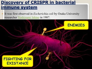 Discovery of CRISPR in bacterial
immune system
 It was first observed in Escherichia coli by Osaka University
researcher Yoshizumi Ishino in 1987.
ENEMIES
FIGHTING FOR
EXISTANCE
 