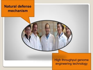 Natural defense
mechanism
High throughput genome
engineering technology
 