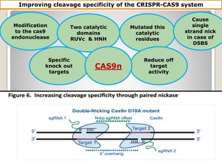 Modification
to the cas9
endonuclease
Two catalytic
domains
RUVc & HNH
Mutated this
catalytic
residues
Cause
single
strand nick
in case of
DSBS
Reduce off
target
activity
Specific
knock out
targets
CAS9n
Improving cleavage specificity of the CRISPR-CAS9 system
 