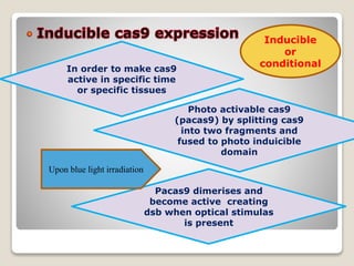 Pacas9 dimerises and
become active creating
dsb when optical stimulas
is present
Photo activable cas9
(pacas9) by splitting cas9
into two fragments and
fused to photo induicible
domain
In order to make cas9
active in specific time
or specific tissues
Inducible
or
conditional
Upon blue light irradiation
 