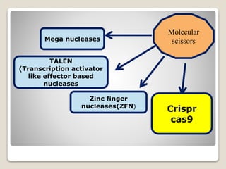 Molecular
scissorsMega nucleases
TALEN
(Transcription activator
like effector based
nucleases
Crispr
cas9
Zinc finger
nucleases(ZFN)
 