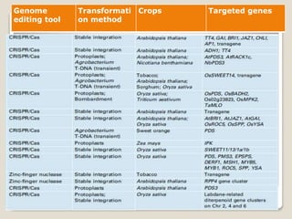Genome
editing tool
Transformati
on method
Crops Targeted genes
52
 