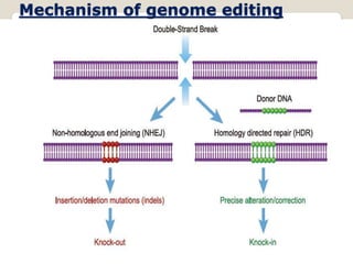 Mechanism of genome editing
 
