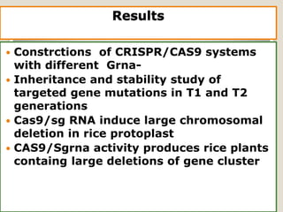 Results
 Constrctions of CRISPR/CAS9 systems
with different Grna-
 Inheritance and stability study of
targeted gene mutations in T1 and T2
generations
 Cas9/sg RNA induce large chromosomal
deletion in rice protoplast
 CAS9/Sgrna activity produces rice plants
containg large deletions of gene cluster
 