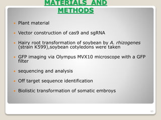 MATERIALS AND
METHODS
 Plant material
 Vector construction of cas9 and sgRNA
 Hairy root transformation of soybean by A. rhizogenes
(strain K599),soybean cotyledons were taken
 GFP imaging via Olympus MVX10 microscope with a GFP
filter
 sequencing and analysis
 Off target sequence identification
 Biolistic transformation of somatic embroys
65
 