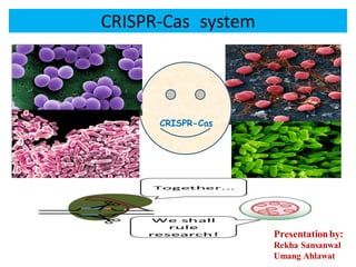 CRISPR-Cas system
CRISPR-Cas
Presentationby:
Rekha Sansanwal
Umang Ahlawat
 