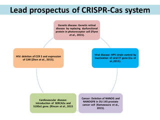 Lead prospectus of CRISPR-Cas system
Genetic disease: Genetic retinal
disease by replacing dysfunctional
protein in photoreceptor cell (Flynn
et al., 2015).
Viral disease: HPV strain control by
inactivation of viral E7 gene (Liu et
al.,2015).
Cancer: Deletion of NANOG and
NANOGP8 in DU 145 prostate
cancer cell (Kamawaura et al.,
2015).
Cardiovascular disease:
Introduction of SERCA2a and
S100a1 gene. (Rincon et al., 2015
HIV: deletion of CCR 5 and expression
of CAR (Zhen et al., 2015).
 