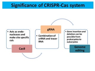 Significance of CRISPR-Cas system
• Acts as endo-
nucleases and
make site specific
cuts
Cas9
• Combination of
crRNA and tracer
RNA
gRNA
• Gene insertion and
deletion can be
possible from
prokaryotesto
eukaryotes
Genome
editing
 