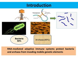 Introduction
RNA-mediated adaptive immune systems protect bacteria
and archaea from invading mobile genetic elements
Bacteria
50%
Archaea (90%)
 