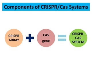 Components of CRISPR/Cas Systems
CRISPR
ARRAY
CAS
gene
CRISPR-
CAS
SYSTEM
 