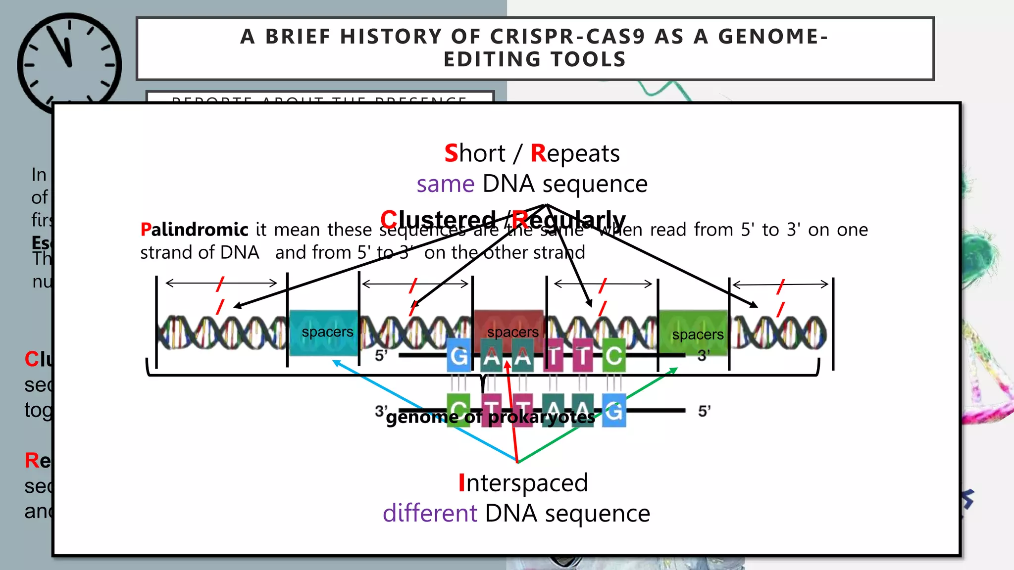 genome editing technique CRISPR-Cas9 - Copy.pptx