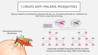 1.CREATE ANTI-MALARIA MOSQUITOES
Fighting malaria by eliminating the mosquitoes that carry out the disease genetically are modified to not
infect humans using crispr technology.
Mosquitoes performing
disinfection.
Genetically modified mosquitoes that do not infect
humans are inherited by nearly 100% of the offspring.
 