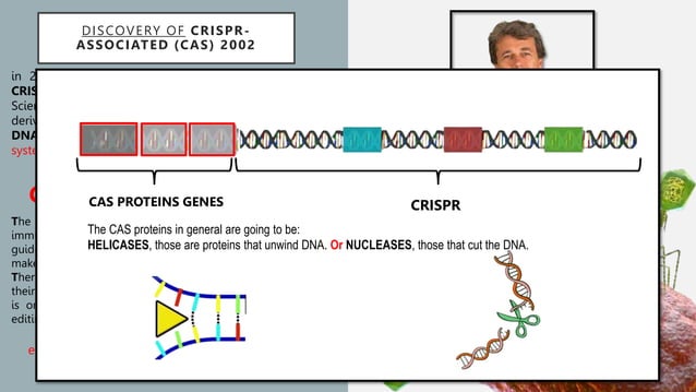 genome editing technique CRISPR-Cas9 - Copy.pptx | Biotech and ...