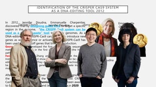 IDENTIFICATION OF THE CRISPER CAS9 SYSTEM
AS A DNA-EDITING TOOL 2012
In 2012, Jennifer Doudna, Emmanuelle Charpentier,
discovered that by designing guide RNA to target a specific
region in the genome, “the CRISPR-Cas9 system can be
used as a “cut-and-paste” tool to modify genomes. As a
DNA-editing tool, CRISPR-Cas9 can remove or introduce new
genes as well as silence or activate genes. CRISPR-Cas9 has
been used to switch off genes that limit the production.
George Church: he developed the first direct genomic sequencing
method, which resulted in the first genome sequence (the human
pathogen).
Feng Zhang(2013):Feng Zhang and his colleagues at the Broad
Institute of MIT and Harvard show that CRISPR-Cas9 can be used to
edit genes in human cells. They demonstrate that the technique can
be used to target multiple genes at once and to create knockout
mutations
After years of speculation over who would be recognized for
the pioneering work on the gene editing tool CRISPR–
Cas9, the Nobel Prize in Chemistry has finally been awarded
to Emmanuelle Charpentier and Jennifer Doudna.in 2020
Jennifer Doudna Emmanuelle
Charpentier
Feng Zhang
George Church Emmanuelle
Charpentier
Jennifer Doudna
 