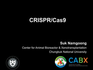 CRISPR/Cas9
Suk Namgoong
Center for Animal Bioreactor & Xenotransplantation
Chungbuk National University
 