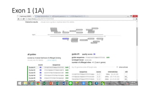 Exon 1 (1A)
 