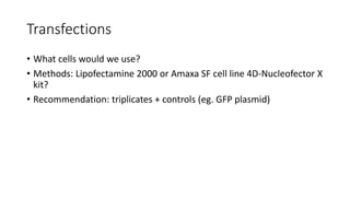 Transfections
• What cells would we use?
• Methods: Lipofectamine 2000 or Amaxa SF cell line 4D-Nucleofector X
kit?
• Recommendation: triplicates + controls (eg. GFP plasmid)
 