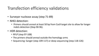 Transfection efficiency validations
• Surveyor nuclease assay (step 71-89)
• NHEJ detection:
• Primers should anneal at least 50 bp from Cas9 target site to allow for longer
indels detection (Step 90-96).
• HDR detection:
• RFLP (step 97-108)
• The primers should anneal outside the homology arms
• Sequencing: Sanger (step 109-117) or deep sequencing (step 118-126)
 