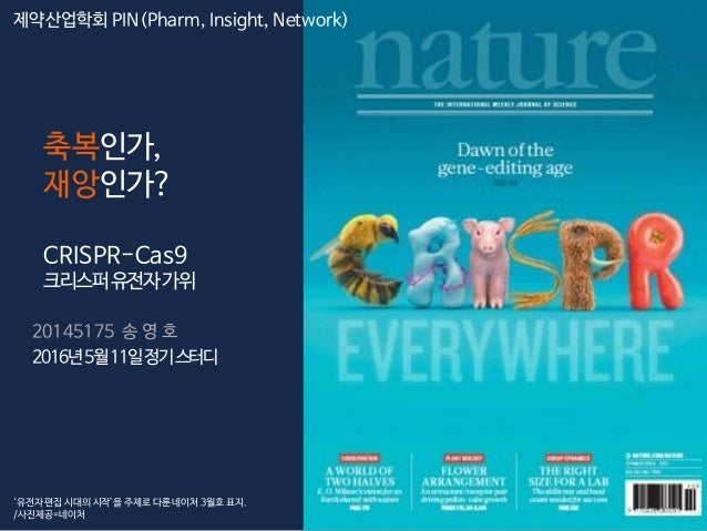 download molecular pathology of lung
