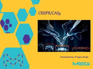 Presented by: Pragya Singh
CRISPR/CAS9
 