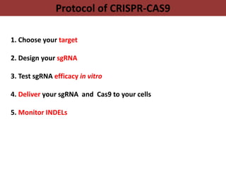 RECENT ADVANCES
1. Expanding CRISPR-CAS9 recognition sequence
Drive gRNA expression using a different promoter
Remove rest...