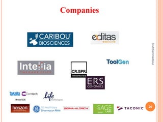 Companies
20
S.Mohammadpour
 