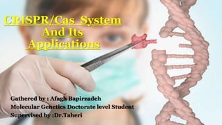 CRISPR/Cas System
And Its
Applications
Gathered by : Afagh Bapirzadeh
Molecular Genetics Doctorate level Student
Supervised by :Dr.Taheri
 