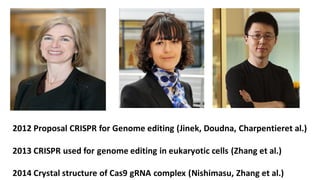 2012 Proposal CRISPR for Genome editing (Jinek, Doudna, Charpentieret al.)
2013 CRISPR used for genome editing in eukaryotic cells (Zhang et al.)
2014 Crystal structure of Cas9 gRNA complex (Nishimasu, Zhang et al.)
 
