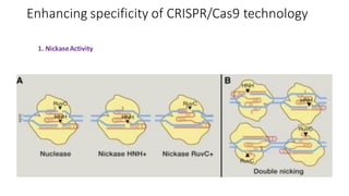 Enhancing specificity of CRISPR/Cas9 technology
1. NickaseActivity
 