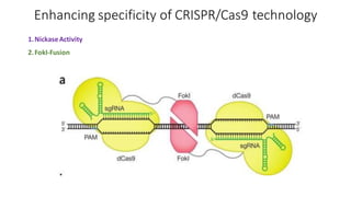 Enhancing specificity of CRISPR/Cas9 technology
1.NickaseActivity
2.FokI-Fusion
 
