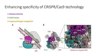 Enhancing specificity of CRISPR/Cas9 technology
1.Nickase Activity
2.FokI-Fusion
3.Improvedtargetrecognition
 
