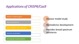 Applications of CRISPR/Cas9
Delivery of desired gene
Knock out /knock in
Gene activation and repression
Genome visualization
Genotyping of polymorphism
Disease model study
Biomedicine development
Provides broad spectrum
resistance
 