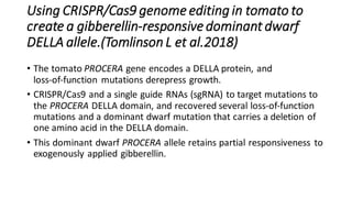 Using CRISPR/Cas9 genome editing in tomato to
create a gibberellin-responsive dominant dwarf
DELLA allele.(Tomlinson L et al.2018)
• The tomato PROCERA gene encodes a DELLA protein, and
loss‐of‐function mutations derepress growth.
• CRISPR/Cas9 and a single guide RNAs (sgRNA) to target mutations to
the PROCERA DELLA domain, and recovered several loss‐of‐function
mutations and a dominant dwarf mutation that carries a deletion of
one amino acid in the DELLA domain.
• This dominant dwarf PROCERA allele retains partial responsiveness to
exogenously applied gibberellin.
 
