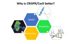 Why is CRISPR/Cas9 better?
Accuracy
Simplicity
Speed
 