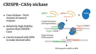 CRISPR-Cas9 system a tool for gene editing presentation | PPTX