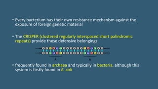 • Every bacterium has their own resistance mechanism against the
exposure of foreign genetic material
• The CRISPER (clustered regularly interspaced short palindromic
repeats) provide these defensive belongings
• frequently found in archaea and typically in bacteria, although this
system is firstly found in E. coli
 