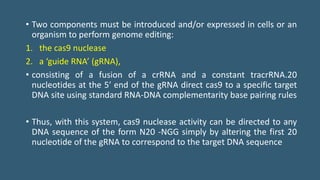 • Two components must be introduced and/or expressed in cells or an
organism to perform genome editing:
1. the cas9 nuclease
2. a ‘guide RNA’ (gRNA),
• consisting of a fusion of a crRNA and a constant tracrRNA.20
nucleotides at the 5′ end of the gRNA direct cas9 to a specific target
DNA site using standard RNA-DNA complementarity base pairing rules
• Thus, with this system, cas9 nuclease activity can be directed to any
DNA sequence of the form N20 -NGG simply by altering the first 20
nucleotide of the gRNA to correspond to the target DNA sequence
 
