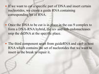 If we want to cut a specific part of DNA and insert certain
nucleotides, we create a guide RNA containing
corresponding bit of RNA.
 Once the DNA to be cut is in place in the cas 9 complex to
form a DNA-RNA hybrid, the rev and hnh endonucleases
snip the dsDNA at the specific place.
 The third component apart from guideRNA and cas9 is host
RNA which contains the set of nucleotides that we want to
insert in the break to repair it.
 