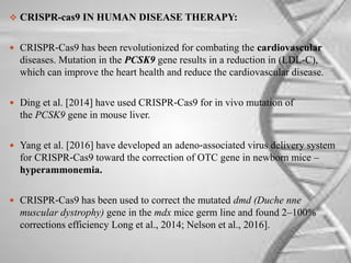  CRISPR-cas9 IN HUMAN DISEASE THERAPY:
 CRISPR‐Cas9 has been revolutionized for combating the cardiovascular
diseases. Mutation in the PCSK9 gene results in a reduction in (LDL‐C),
which can improve the heart health and reduce the cardiovascular disease.
 Ding et al. [2014] have used CRISPR‐Cas9 for in vivo mutation of
the PCSK9 gene in mouse liver.
 Yang et al. [2016] have developed an adeno‐associated virus delivery system
for CRISPR‐Cas9 toward the correction of OTC gene in newborn mice –
hyperammonemia.
 CRISPR‐Cas9 has been used to correct the mutated dmd (Duche nne
muscular dystrophy) gene in the mdx mice germ line and found 2–100%
corrections efficiency Long et al., 2014; Nelson et al., 2016].
 