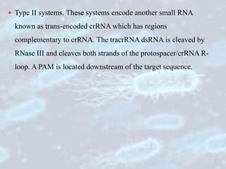  Type II systems. These systems encode another small RNA
known as trans-encoded crRNA which has regions
complementary to crRNA. The tracrRNA dsRNA is cleaved by
RNase III and cleaves both strands of the protospacer/crRNA R-
loop. A PAM is located downstream of the target sequence.
 