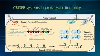 Crispr cas9 | PPTX