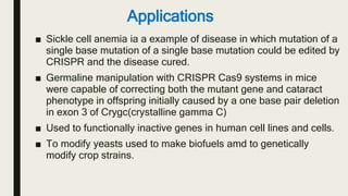 Applications
■ Sickle cell anemia ia a example of disease in which mutation of a
single base mutation of a single base mutation could be edited by
CRISPR and the disease cured.
■ Germaline manipulation with CRISPR Cas9 systems in mice
were capable of correcting both the mutant gene and cataract
phenotype in offspring initially caused by a one base pair deletion
in exon 3 of Crygc(crystalline gamma C)
■ Used to functionally inactive genes in human cell lines and cells.
■ To modify yeasts used to make biofuels amd to genetically
modify crop strains.
 