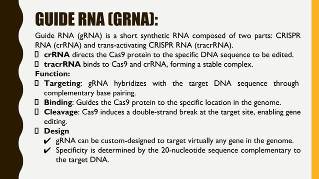 Guide Rna Unveiling CRISPR-Cas9: A New Era in Genetic Engineering- CRISPR-Cas9 by ...