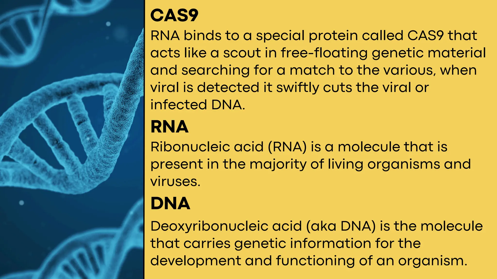 RNA binds to a special protein called CAS9 that
acts like a scout in free-floating genetic material
and searching for a match to the various, when
viral is detected it swiftly cuts the viral or
infected DNA.
Ribonucleic acid (RNA) is a molecule that is
present in the majority of living organisms and
viruses.
CAS9
RNA
DNA
Deoxyribonucleic acid (aka DNA) is the molecule
that carries genetic information for the
development and functioning of an organism.
 