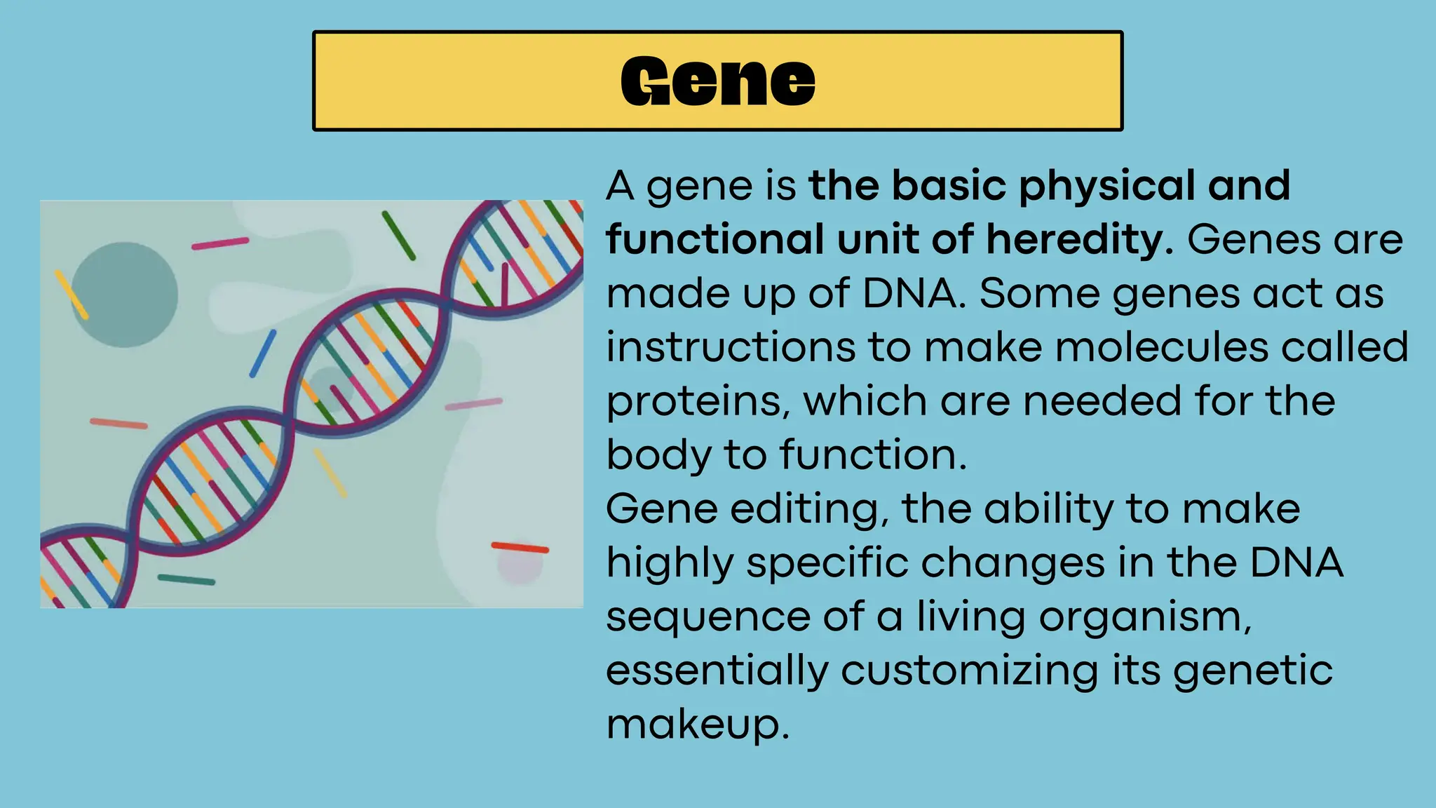 A gene is the basic physical and
functional unit of heredity. Genes are
made up of DNA. Some genes act as
instructions to make molecules called
proteins, which are needed for the
body to function.
Gene editing, the ability to make
highly specific changes in the DNA
sequence of a living organism,
essentially customizing its genetic
makeup.
Gene
 